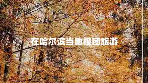 在哈爾濱當地報團旅游