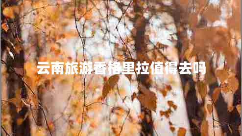 云南旅游香格里拉值得去嗎