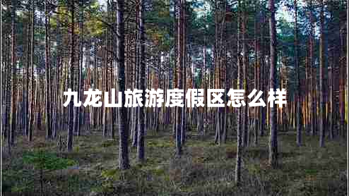 九龍山旅游度假區怎么樣