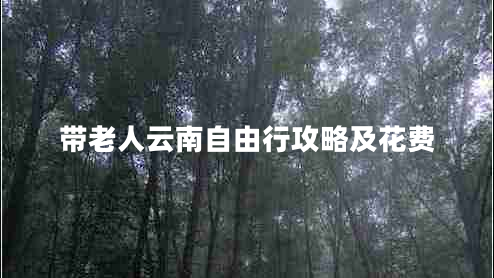 帶老人云南自由行攻略及花費