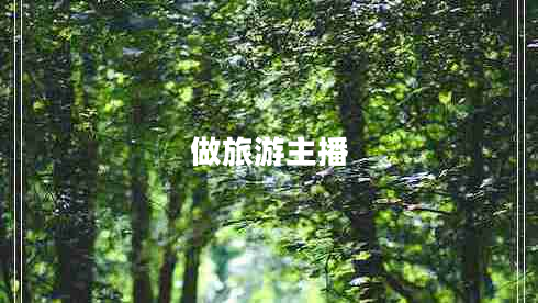 做旅游主播