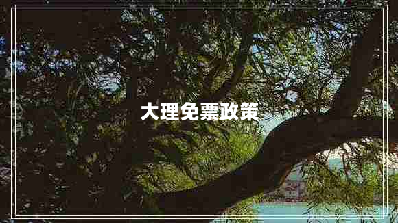 大理免票政策