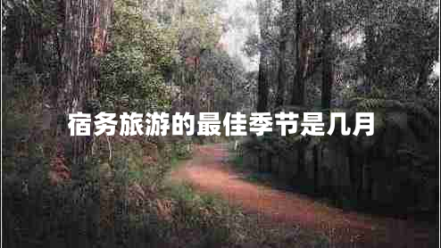 宿務(wù)旅游的最佳季節是幾月