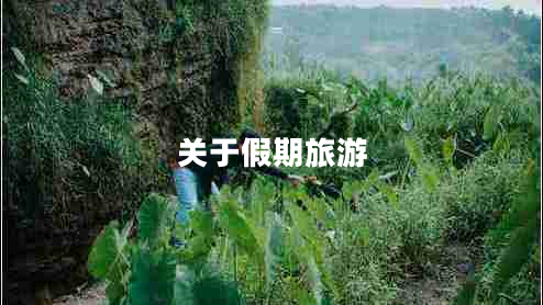 關(guān)于假期旅游