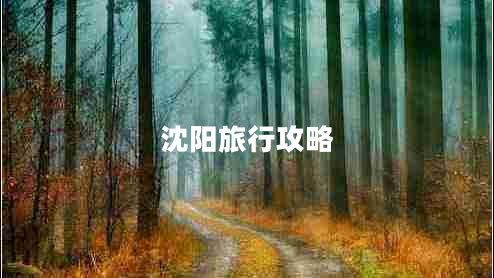 沈陽(yáng)旅行攻略