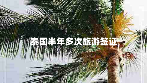 泰國半年多次旅游簽證