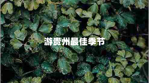 游貴州最佳季節