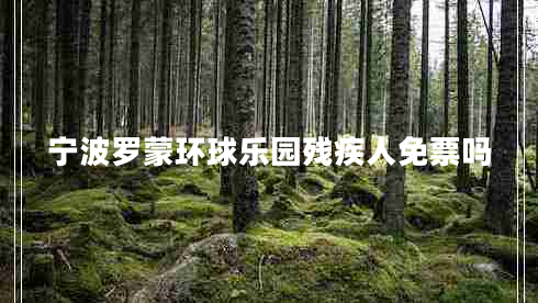 寧波羅蒙環(huán)球樂(lè )園殘疾人免票嗎