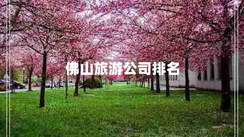 佛山旅游公司排名