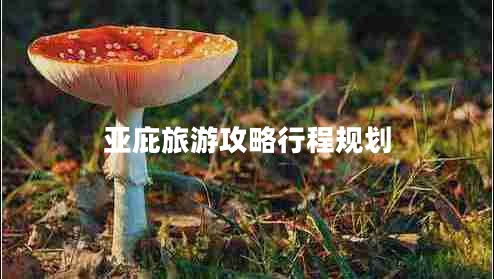 亞庇旅游攻略行程規劃