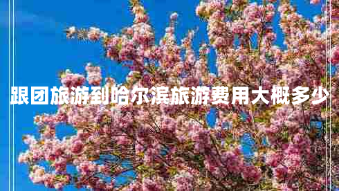 跟團旅游到哈爾濱旅游費用大概多少