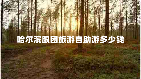 哈爾濱跟團旅游自助游多少錢(qián)