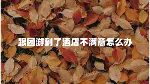 跟團游到了酒店不滿(mǎn)意怎么辦