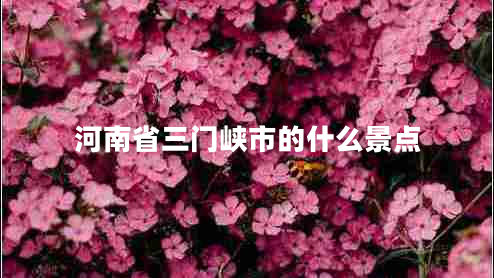 河南省三門(mén)峽市的什么景點(diǎn)