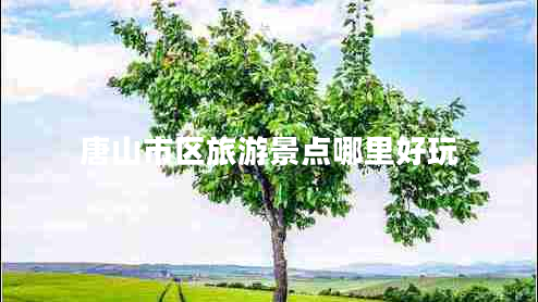 唐山市區旅游景點(diǎn)哪里好玩
