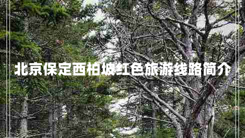北京保定西柏坡紅色旅游線(xiàn)路簡(jiǎn)介