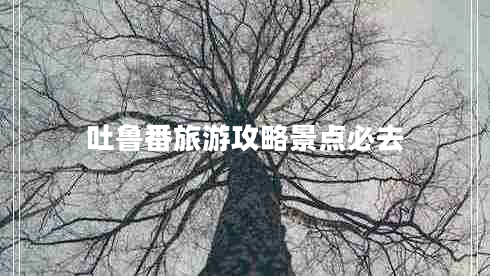吐魯番旅游攻略景點(diǎn)必去