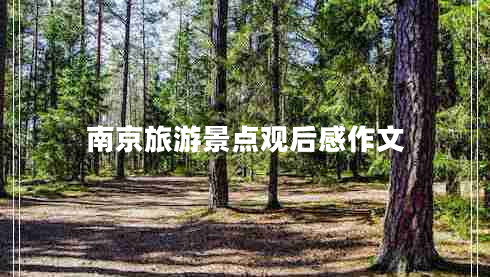 南京旅游景點(diǎn)觀(guān)后感作文