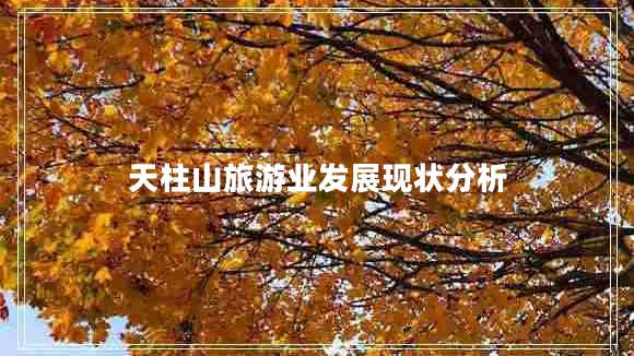 天柱山旅游業(yè)發(fā)展現狀分析