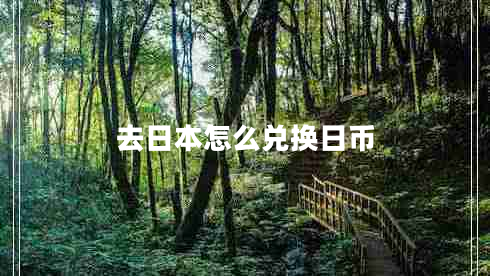 去日本怎么兌換日幣