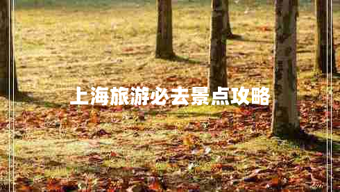 上海旅游必去景點(diǎn)攻略