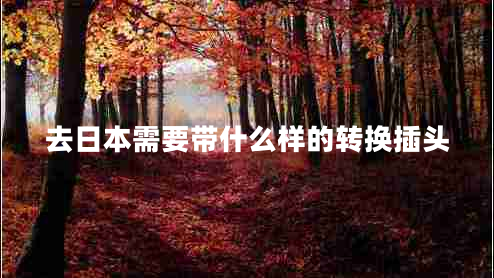 去日本需要帶什么樣的轉換插頭