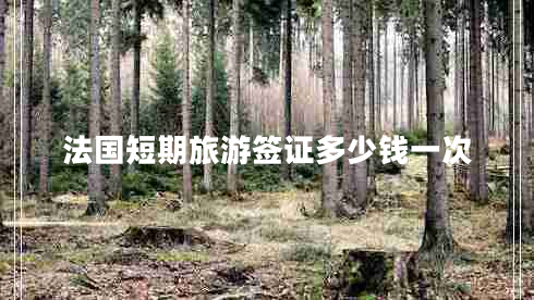 法國短期旅游簽證多少錢(qián)一次