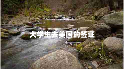 大學(xué)生去美國的簽證