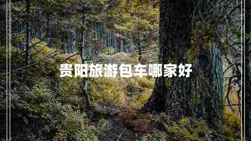 貴陽(yáng)旅游包車(chē)哪家好