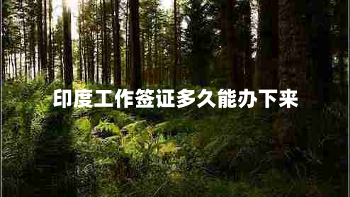 印度工作簽證多久能辦下來(lái)
