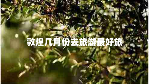 敦煌幾月份去旅游最好旅