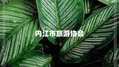 內江市旅游協(xié)會(huì )