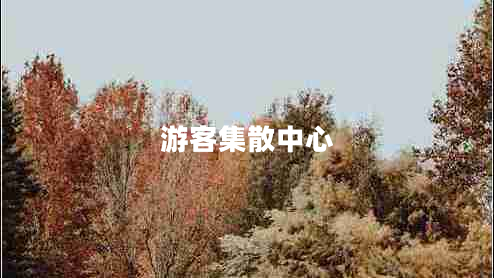 游客集散中心
