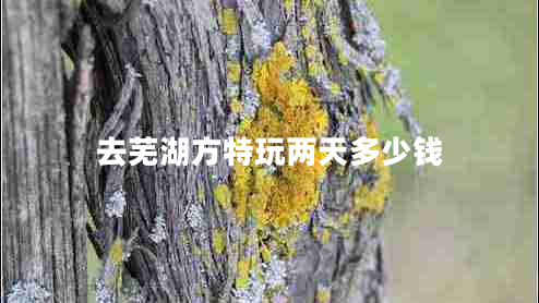 去蕪湖方特玩兩天多少錢(qián)