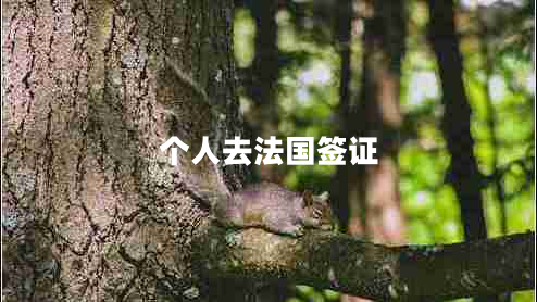 個(gè)人去法國簽證