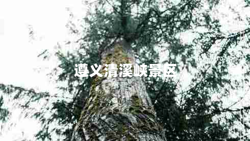 遵義清溪峽景區