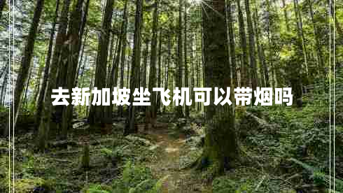 去新加坡坐飛機可以帶煙嗎