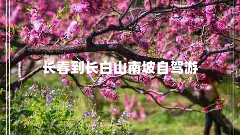 長(cháng)春到長(cháng)白山南坡自駕游