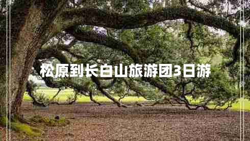 松原到長(cháng)白山旅游團3日游