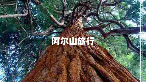 阿爾山旅行