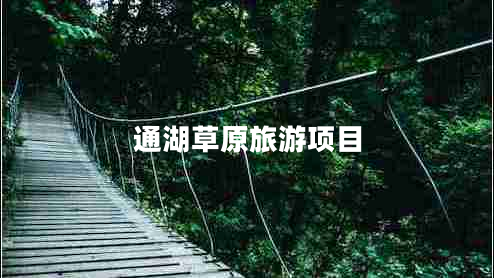 通湖草原旅游項目