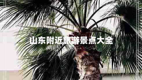山東附近旅游景點(diǎn)大全