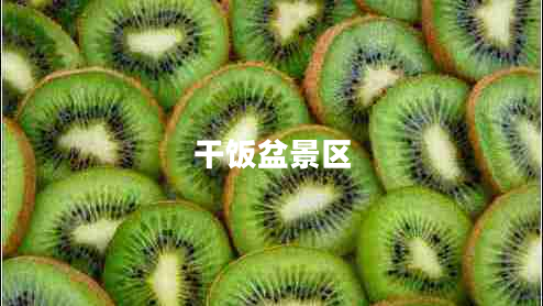 干飯盆景區