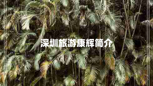 深圳旅游康輝簡(jiǎn)介
