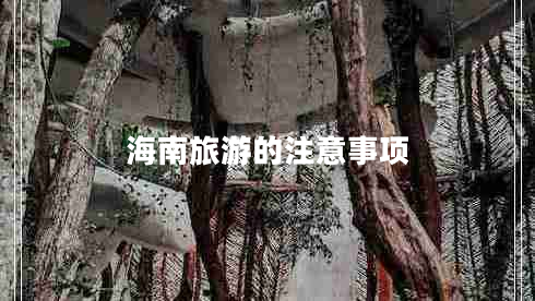 海南旅游的注意事項
