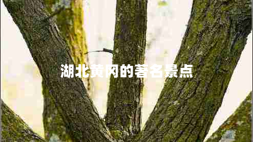 湖北黃岡的著(zhù)名景點(diǎn)