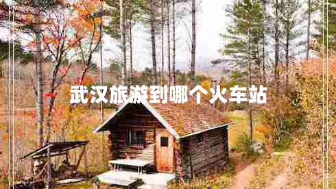武漢旅游到哪個(gè)火車(chē)站