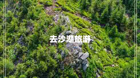 去沙湖旅游