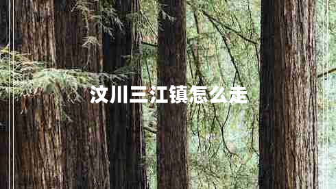 汶川三江鎮怎么走