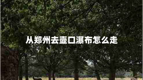 從鄭州去壺口瀑布怎么走